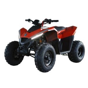 Skytron Eaglete 110ccm